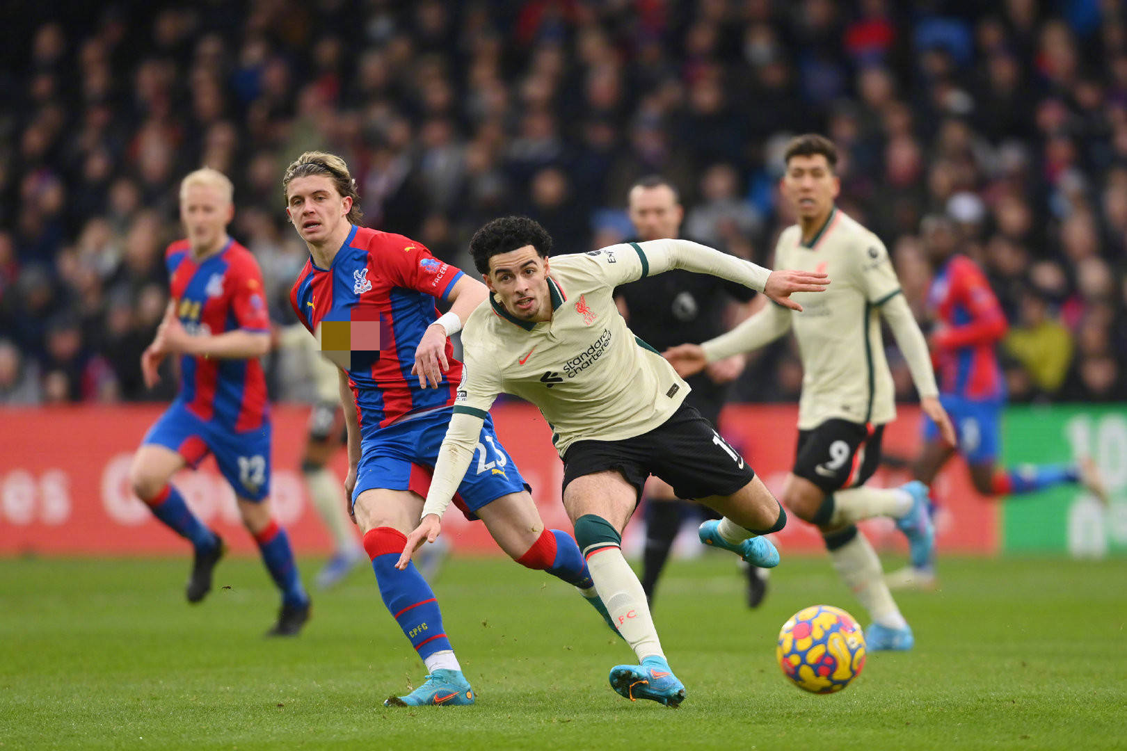 无疑正以他 无疑正以他