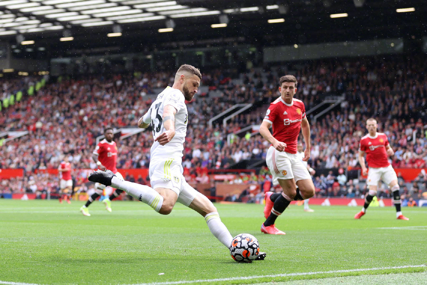 也彻底变成 也彻底变成